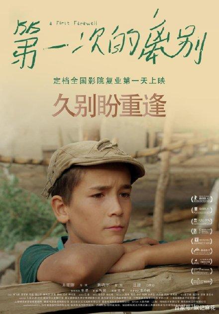 作假学历报告